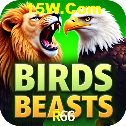 A Emoção da Loteria na R66: Uma Chance de Mudança de Vida